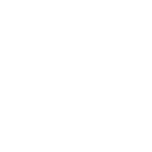 Shoulder Charge