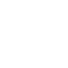 Bullet Dance