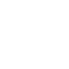 Flight