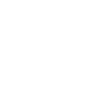 Flight