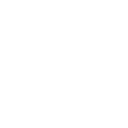 Druid