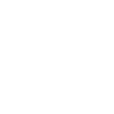 Lifestrike Lifestrike