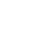 Hollow Point